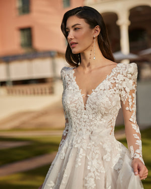 INESSA