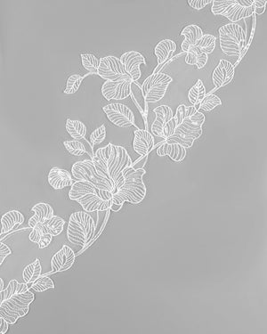 VELO
