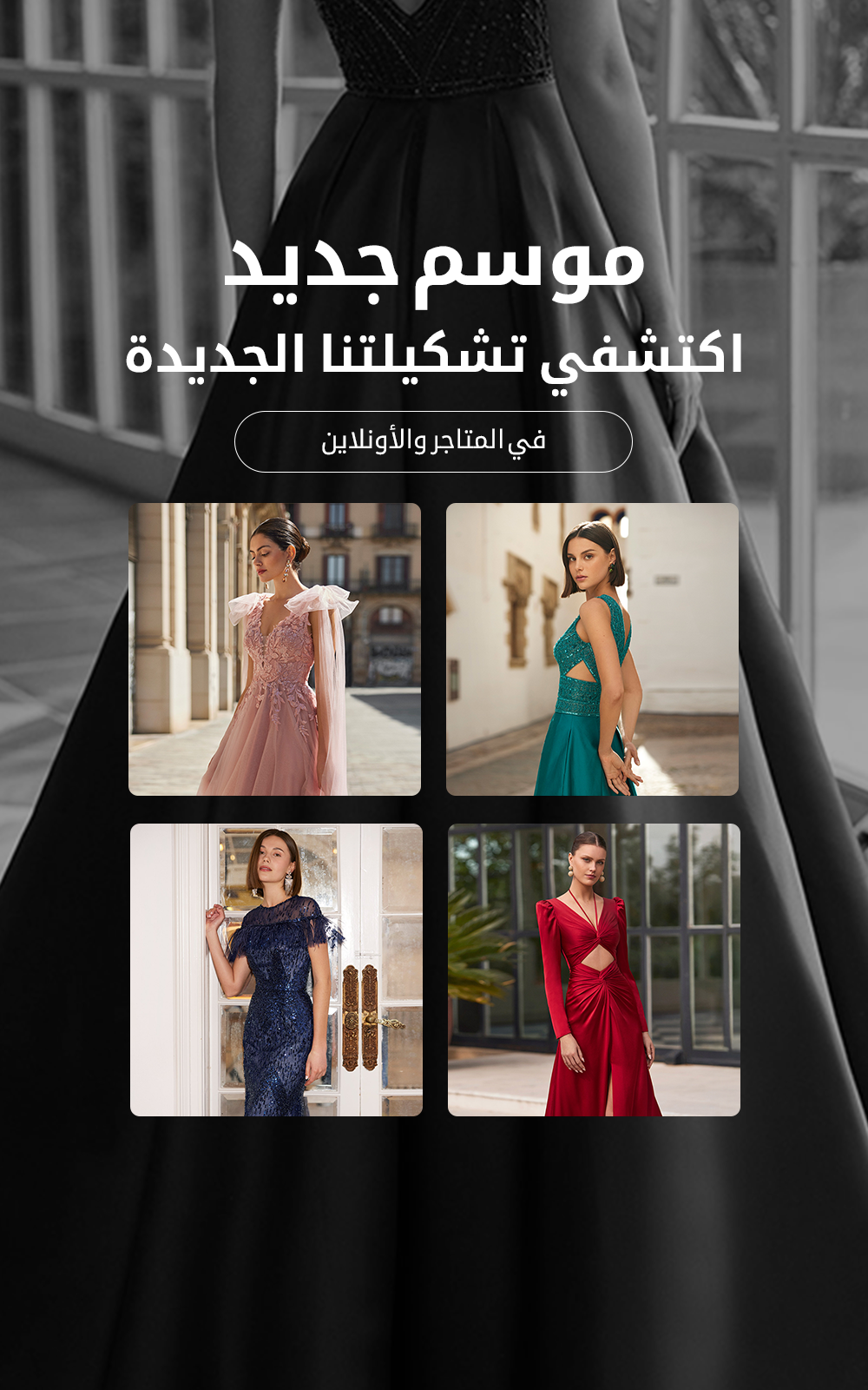روسا كلارا المملكة العربية السعودية