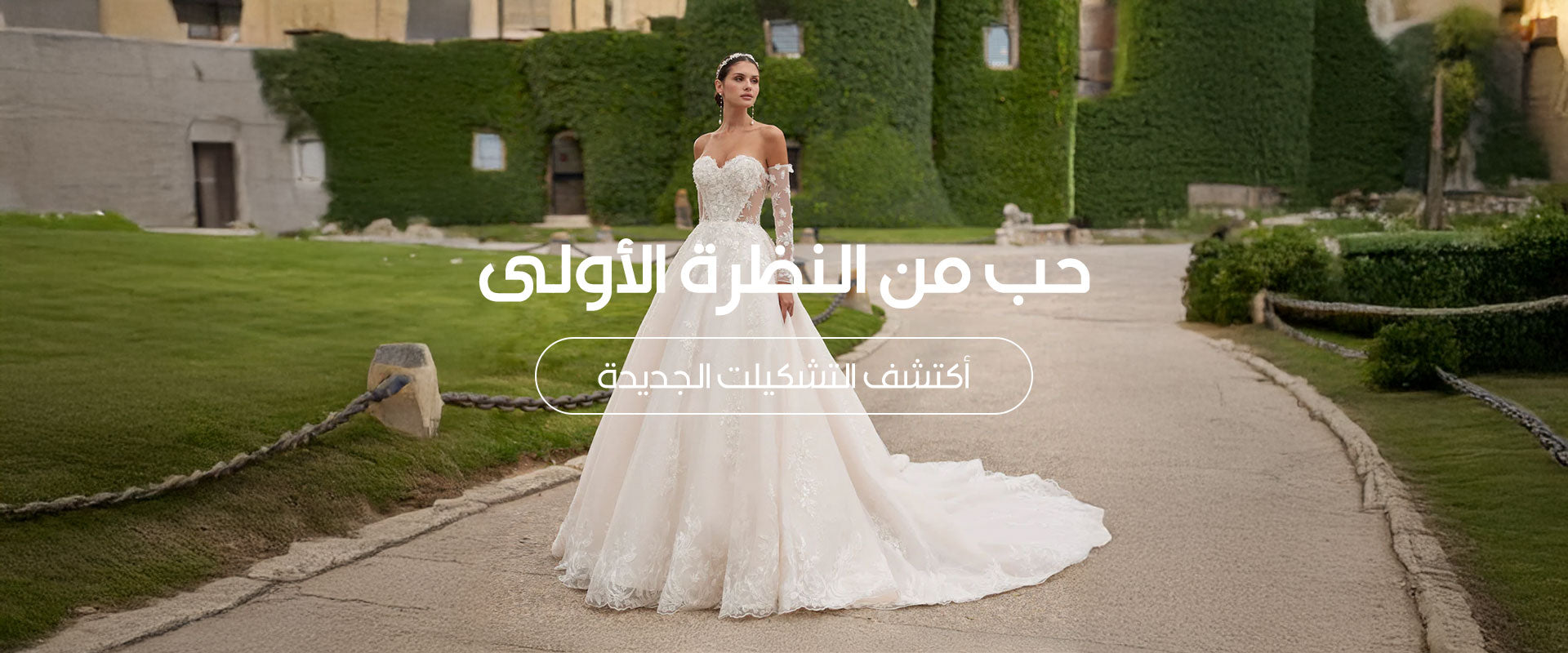 روسا كلارا المملكة العربية السعودية