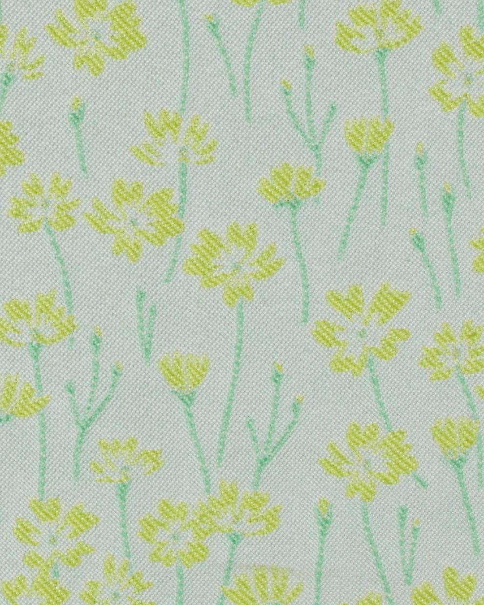 Rosa Clara Cocktail-8T195