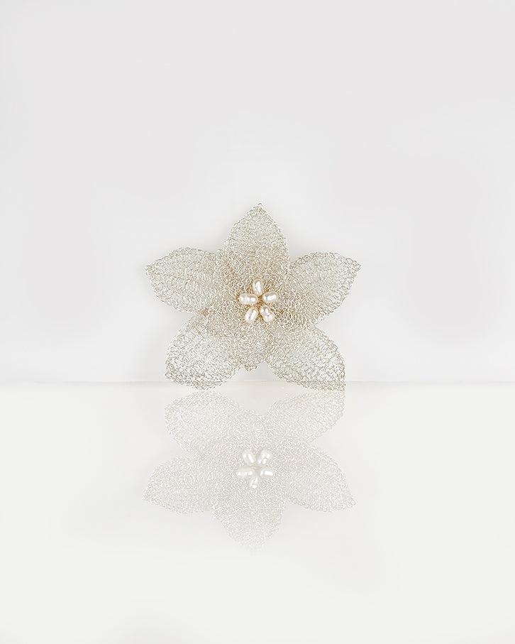 91K08 هوركيلا