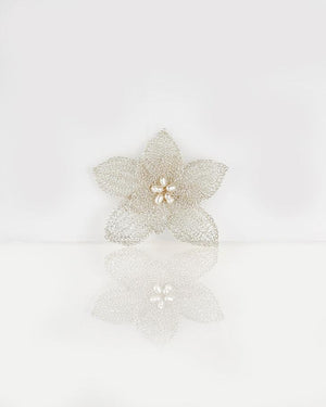 91K08 هوركيلا